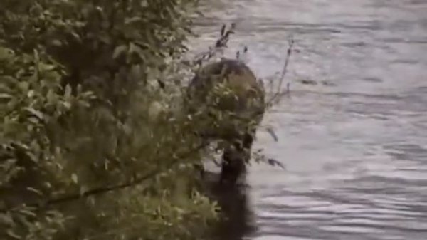 Alaska 1997 - 2 of 2