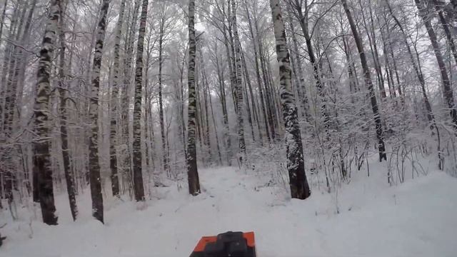 Учёными доказано - Аляска Наша!