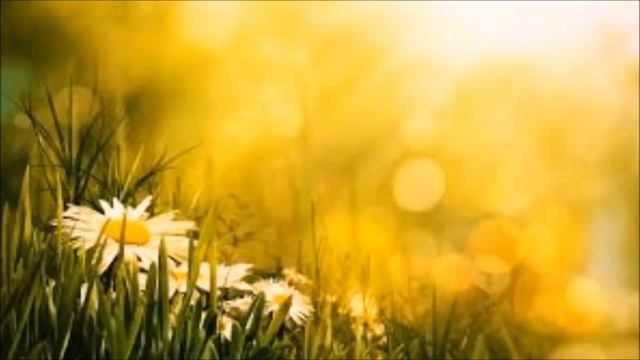 Как поверить и полюбить себя : гид в медитацию от Луизы Хей смотреть онлайн