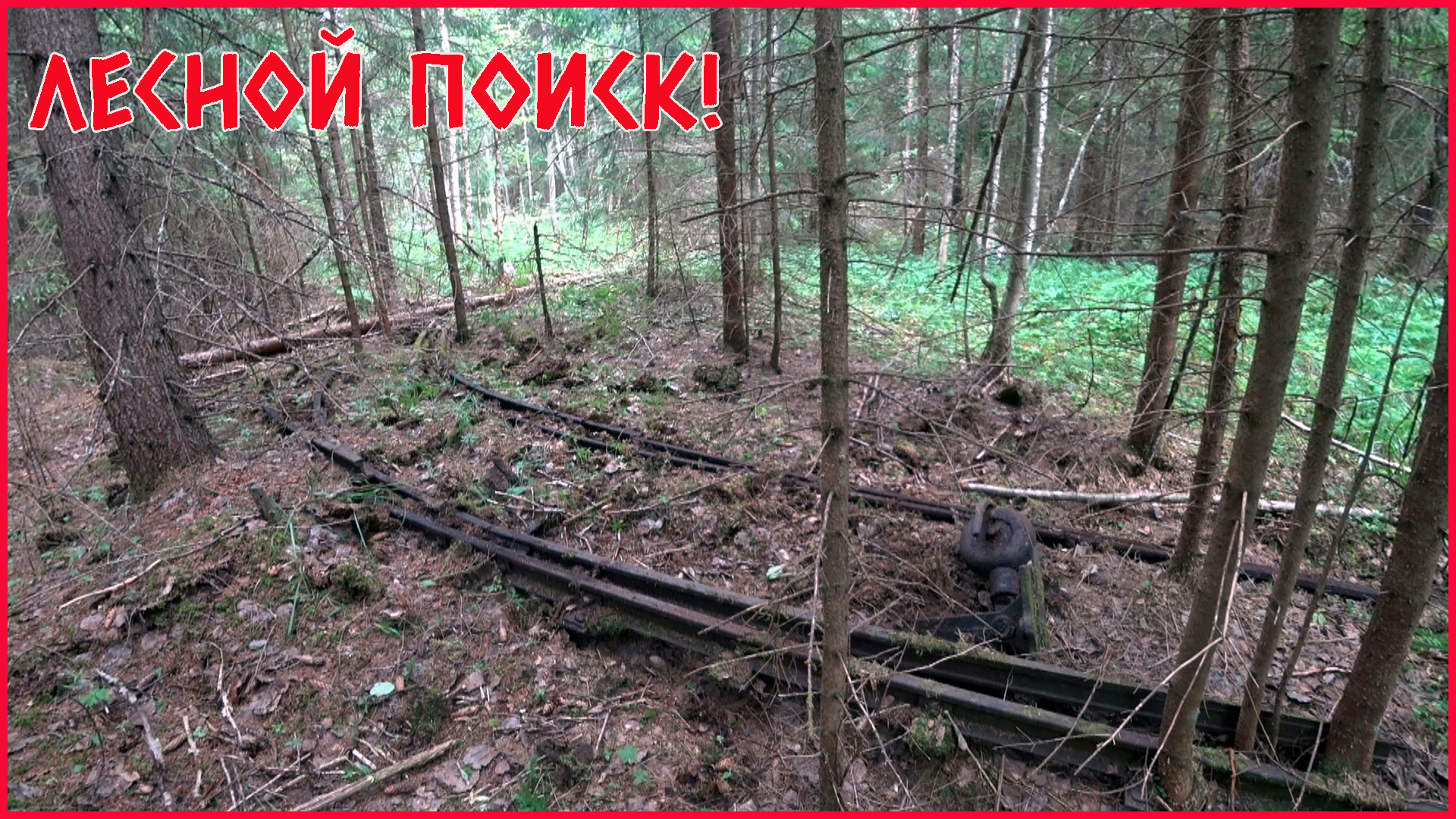 ЭТО УСПЕХ!!! НАШЛИ СТРЕЛКУ УЖД! ПОДАРОК ОТ СОХАТОГО!!! смотреть онлайн