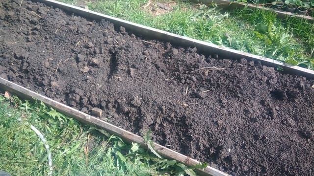 Как подготовить грядку для посадки томатов смотреть онлайн