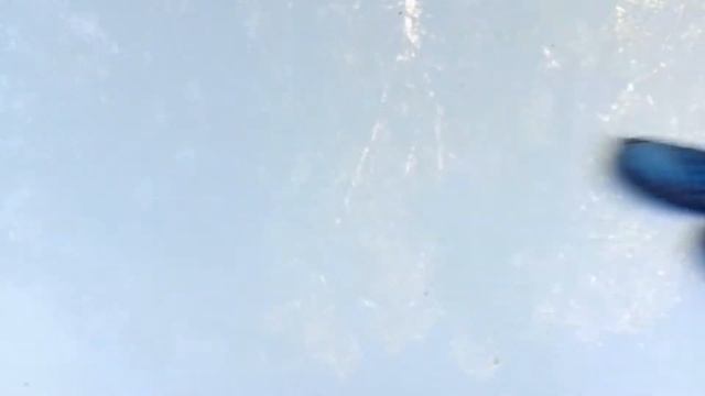 Спиртовые солфетки против тополиных почек на машине. смотреть онлайн