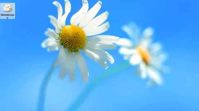 развертывание Windows Server 2012 Remote Desktop Services и RemoteApp английская версия смотреть онлайн