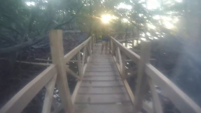 Apo Island (Apo Reef Natural Park) Occ. Mindoro смотреть онлайн
