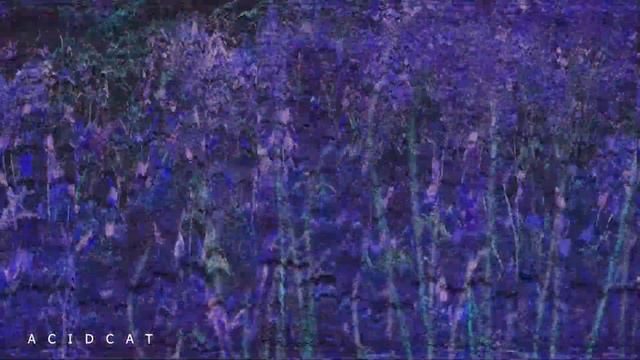 УТИНЫЙ ПОРТАЛ-ПО ХИЧКОКУ :) смотреть онлайн