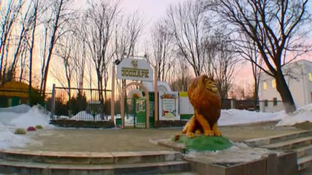 В Пензенском зоопарке начали строить вольер для белого медве смотреть онлайн