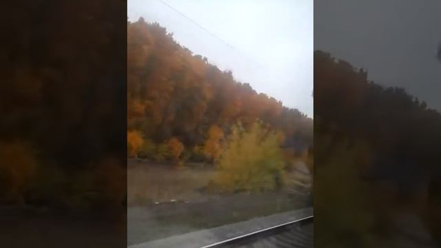 Едем в поезде Анапа Москва смотреть онлайн