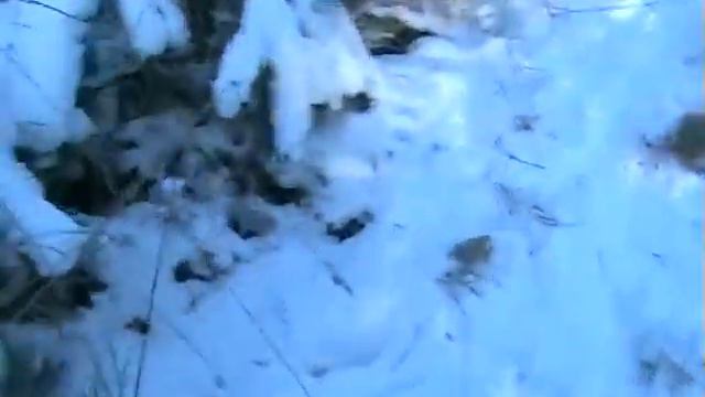 В Летичеве смотреть онлайн