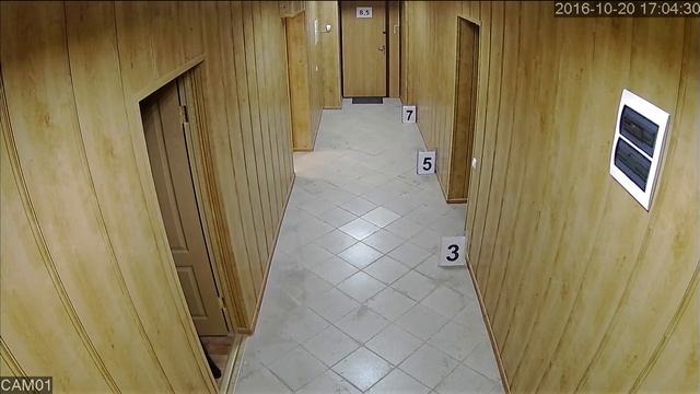 Видеокамера Tigris THL-VP20-2. смотреть онлайн