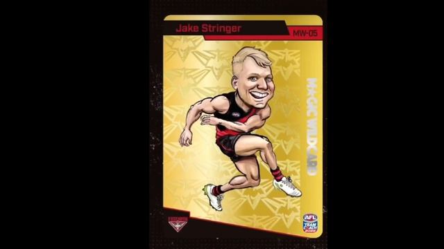 2022 MAGIC WILDS REVEALED! смотреть онлайн