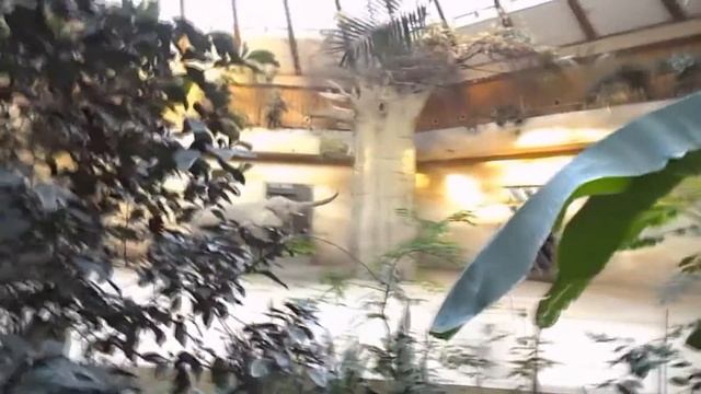 Варшавский зоопарк.Польша||Warszawski ogród zoologiczny смотреть онлайн