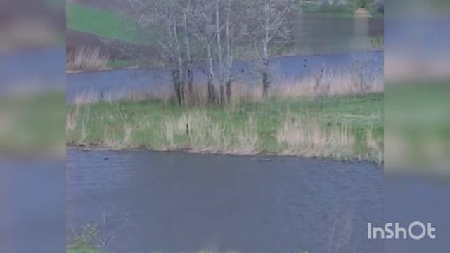 БИБЛИЯ И ДЬЯВОЛ!!! СКРЫТЫЙ СМЫСЛ СВЯЩЕННОГО ПИСАНИЯ!!! смотреть онлайн