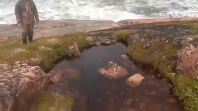 Буря.Белое море смотреть онлайн