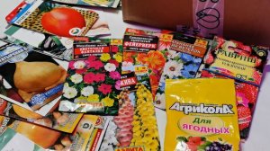 Голова Садовая без тети Тани. Как вам такие изменения на канале?