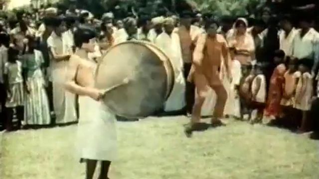 Слоны мои друзья.1971 год.