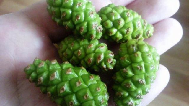 Кулинарные хитрости