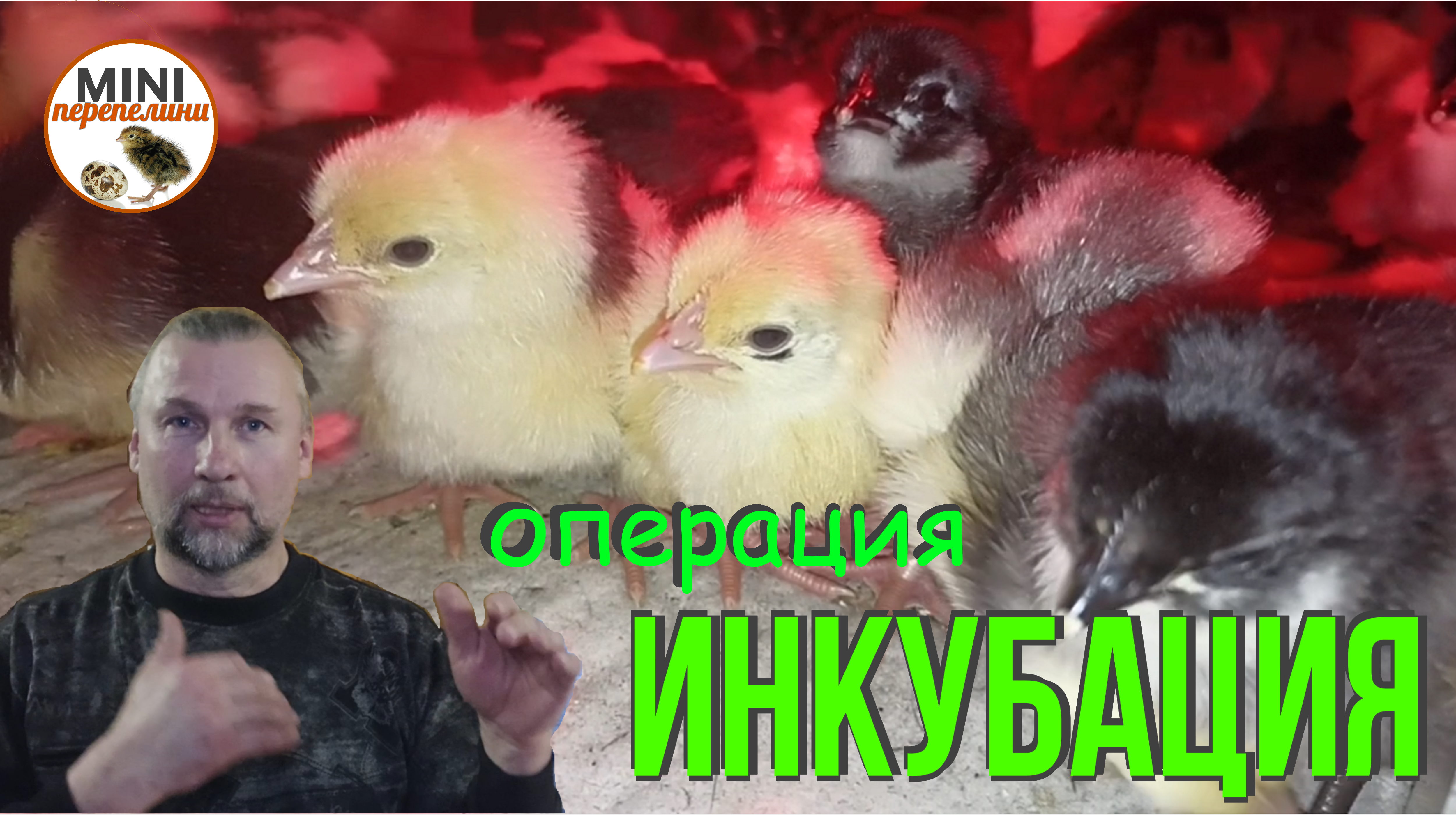 Инкубация. Лучше недогреть, чем перегреть.