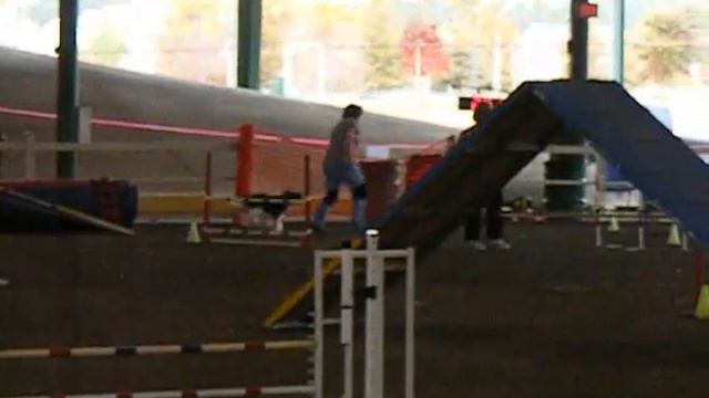 Graham's 1st leg Open Standard Agility 11-07-08 смотреть онлайн