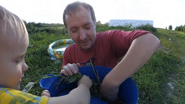 СУРОВЫЙ ЧЕЛЯБИНСКИЙ ИЗМЕЛЬЧИТЕЛЬ || ТЕСТИРУЕМ ПО ПОЛНОЙ || ФЕРМЕР.РФ смотреть онлайн