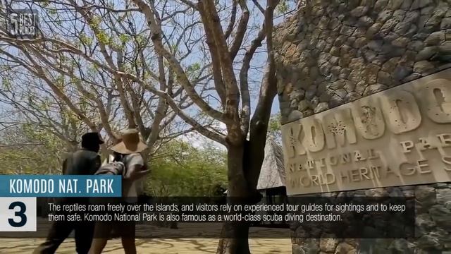 5 Best Places to Visit in INDONESIA ! - Travel Guide смотреть онлайн