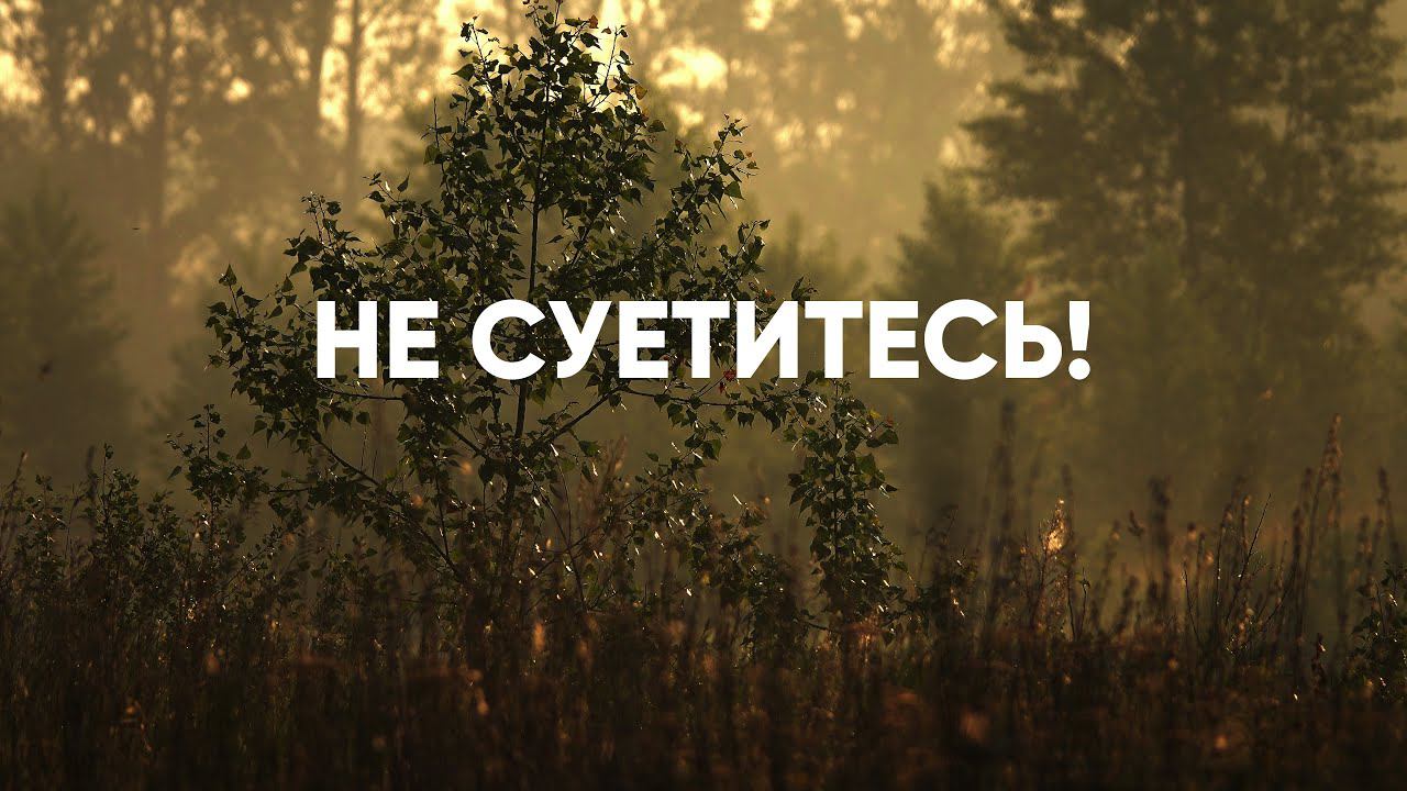 Не суетитесь! смотреть онлайн