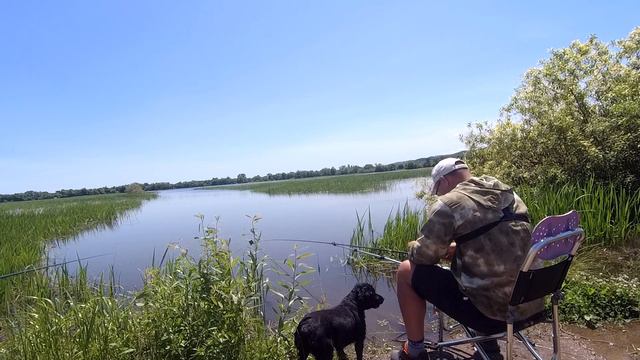 Жара, лето и карась на херабуну смотреть онлайн