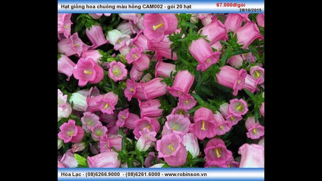 Hạt giống hoa chuông смотреть онлайн