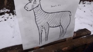 Охота на косулю + тест картечных патронов СКМ, Clever, Феттер, RIO. Benelli M4 vs. ИЖ-27 ЕМ.