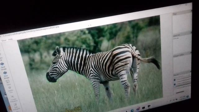 data annotation for semantic segmentation and instance segmentation using labelme смотреть онлайн