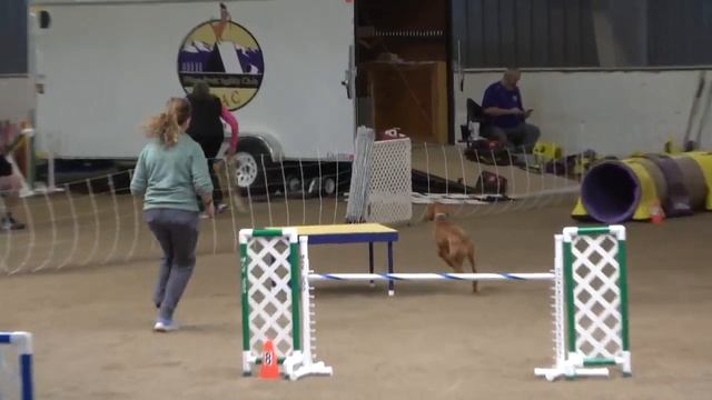 4 16 Tango STD смотреть онлайн