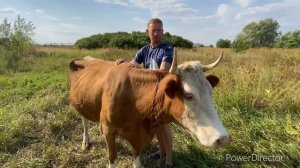 КУПИЛ КОРОВУ? за 70.000₽