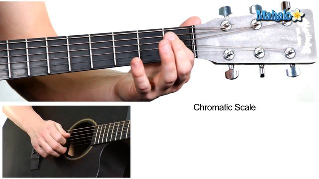 How to Play the Chromatic Scale on Guitar (Lesson 10 of 19) смотреть онлайн