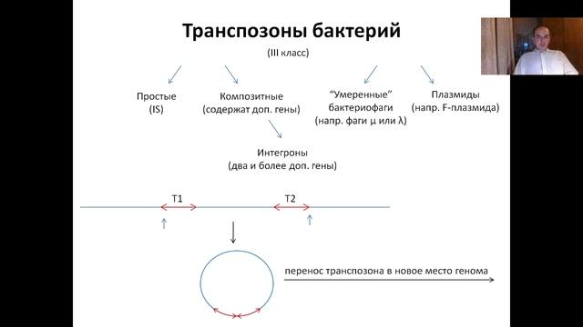 Лекция 11.. Мобильные генетические элементы (2022)