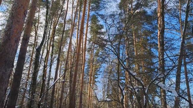 26 февраля (Мартынов день), что нельзя делать сегодня по народным приметам #приметынасегодня