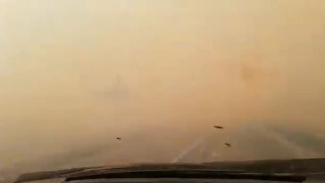 Горит степь в Палласовском районе смотреть онлайн