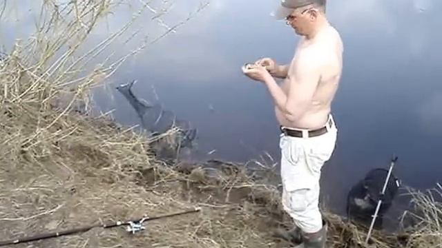 VIMBAS LIELUPE -ВИМБА(СЫРТЬ,РЫБЕЦ НА ЛИЕЛУПЕ) 2011 023 смотреть онлайн