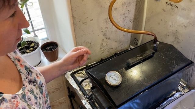 ДОМАШНЕЕ КОПЧЕНИЕ! КОПЧУ ПРЯМО НА КУХНЕ! Копченые перепела и свинина! смотреть онлайн