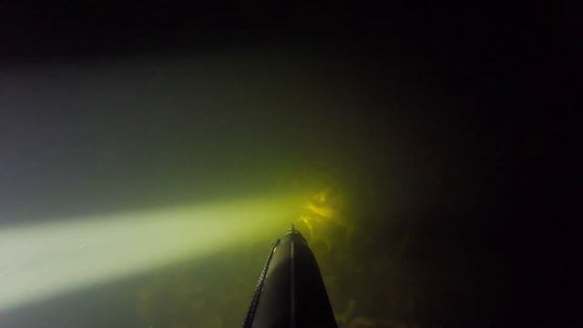 Подводная охота Новгородская обл 21 08 16 ночь смотреть онлайн