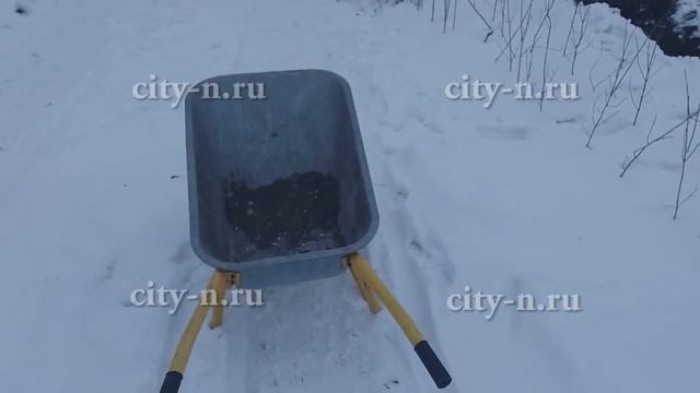В Новокузнецке высаживают деревья в снег смотреть онлайн