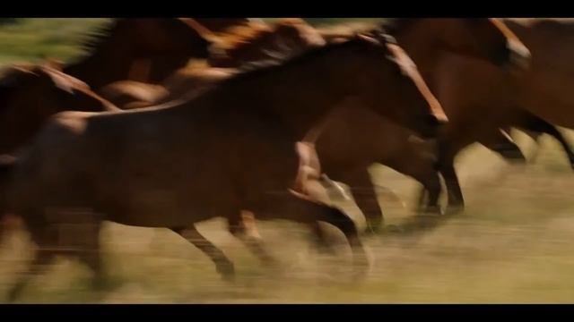 Support Your Mental Health with this Soothing Trip to the Yellowstone Dutton Ranch смотреть онлайн