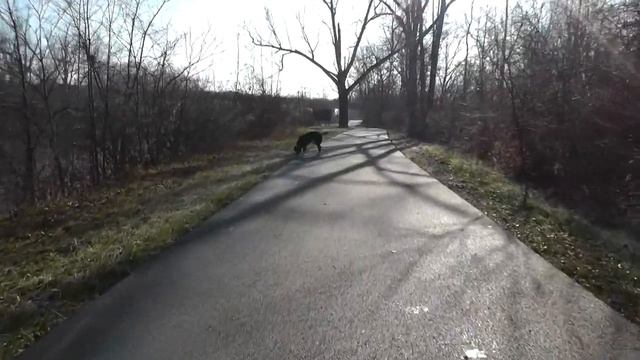 Hike Along the Erie Canal with Sophie - Panasonic HC-V700 смотреть онлайн