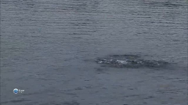 Все об Америке: Миннесота / Discoveries... America: Minnesota