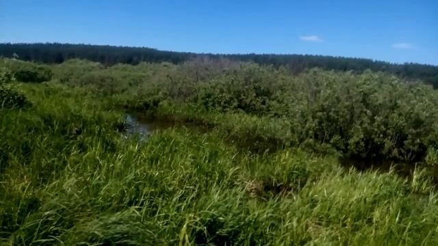 УАЗ и Нива в болоте смотреть онлайн