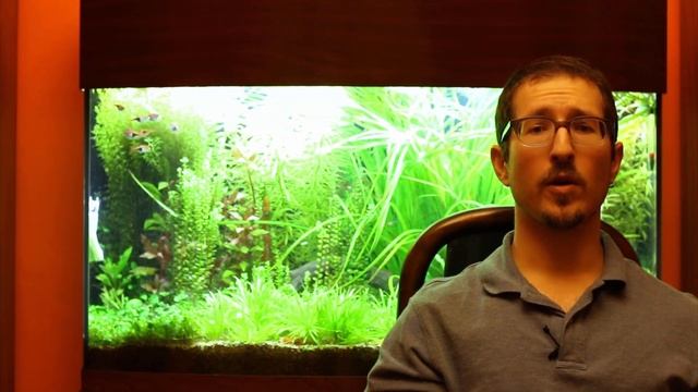 Lighting a Planted Tank: Understanding PAR & PUR & LUX смотреть онлайн