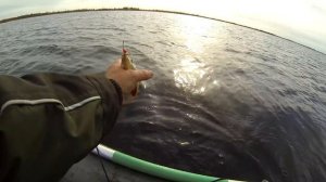 Осенний жор окуня и плотвы с лодки  в отвес ! На Мормышку и блесну!