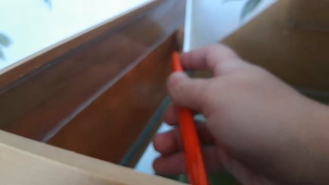 Как срезать кладку ампулярий смотреть онлайн