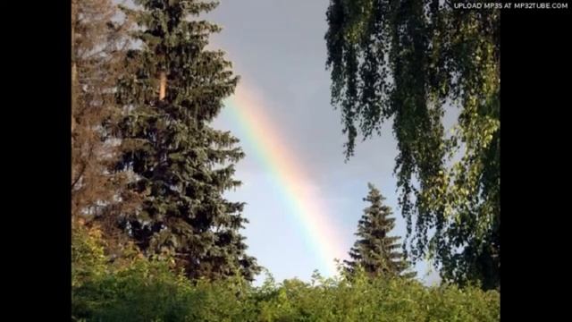 3 четверть Литературное чтение 12 урок Т Домаренок Лесная гроза смотреть онлайн