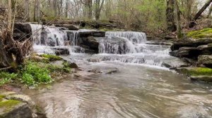 ЖУРЧАНИЕ РУЧЕЙКА. ОТДЫХ У РУЧЬЯ.