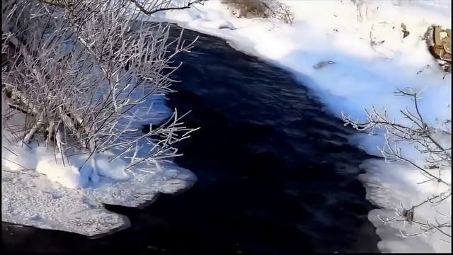 #Сергей Чекалин 