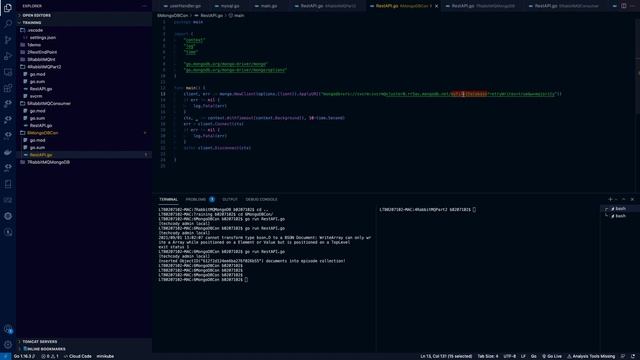 Golang Code - Connection with MongoDB Atlas смотреть онлайн